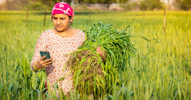 Digital Addiction: Understanding Social Media and Screen Dependency